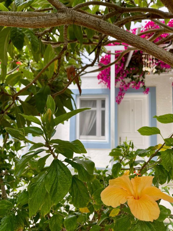Seaside Studios Arkasa Karpathos Zewnętrze zdjęcie