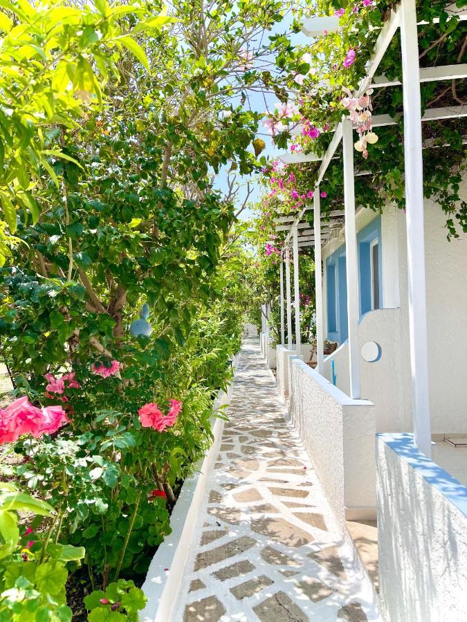 Seaside Studios Arkasa Karpathos Zewnętrze zdjęcie