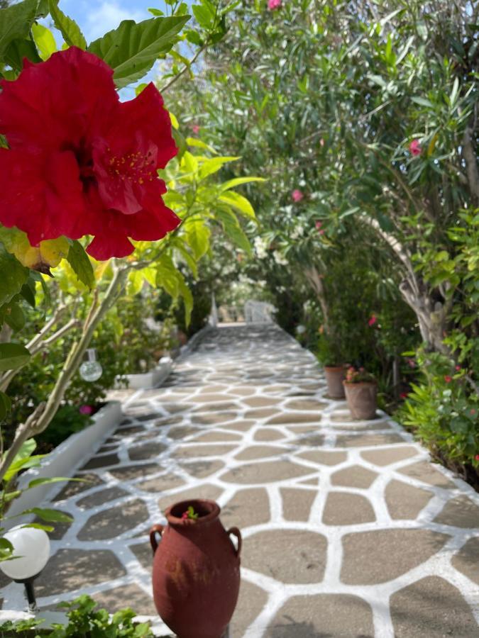 Seaside Studios Arkasa Karpathos Zewnętrze zdjęcie
